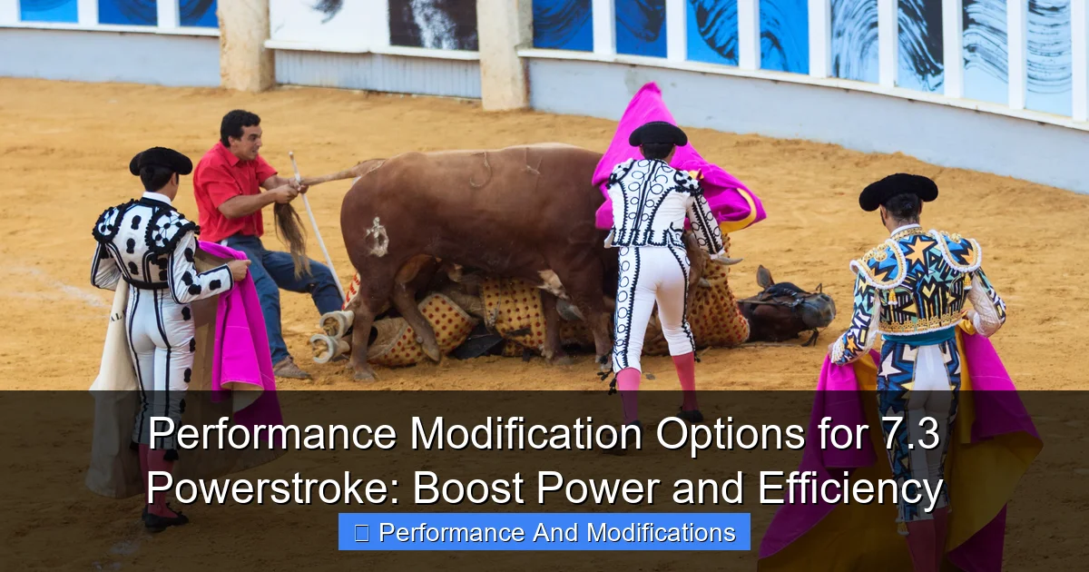 Performance Modification Options for 7.3 Powerstroke: Boost Power and Efficiency - content2 visual guide