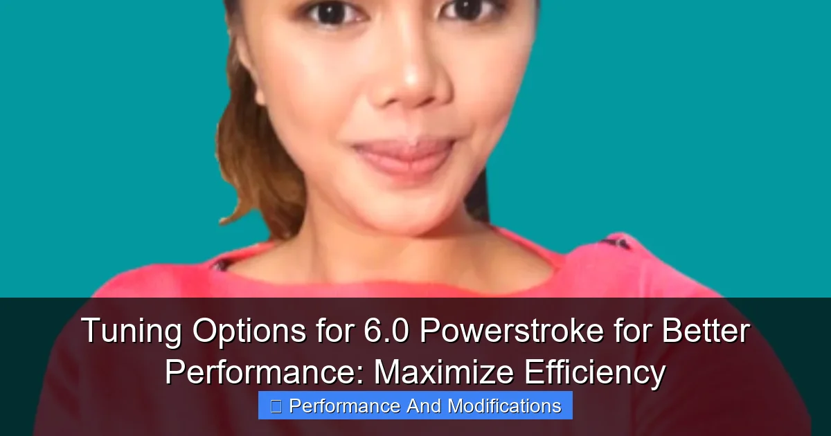 Tuning Options for 6.0 Powerstroke for Better Performance: Maximize Efficiency - content2 visual guide