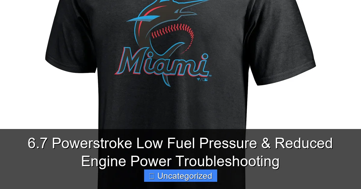 6.7 Powerstroke Low Fuel Pressure & Reduced Engine Power Troubleshooting - content2 visual guide